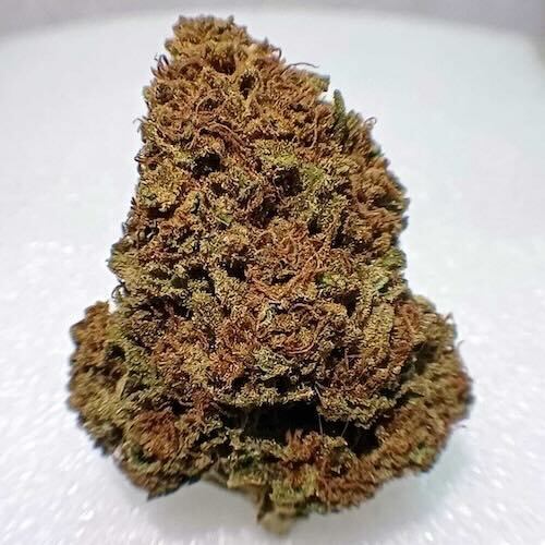 Gorilla Cake - 2